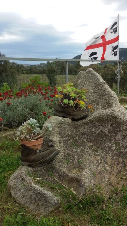 Agriturismo Su Solianu バリ・サルド エクステリア 写真