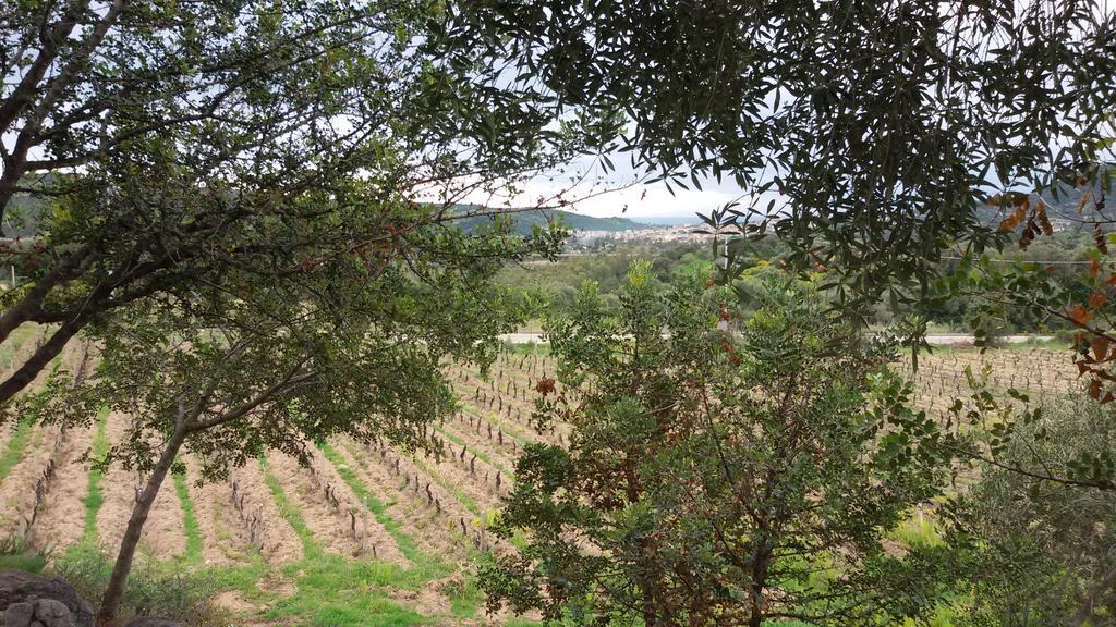 Agriturismo Su Solianu バリ・サルド エクステリア 写真